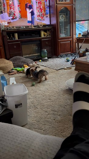 Linda Henry on Reels