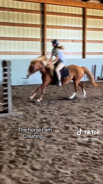 Transforming Horse Riding Skills for Jumping Success