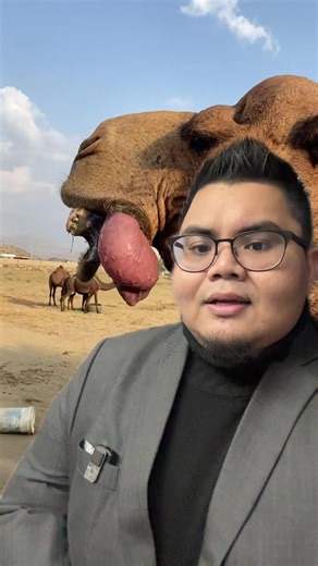 Understanding Fitnah in English | Learn from Sir Badang about Camels