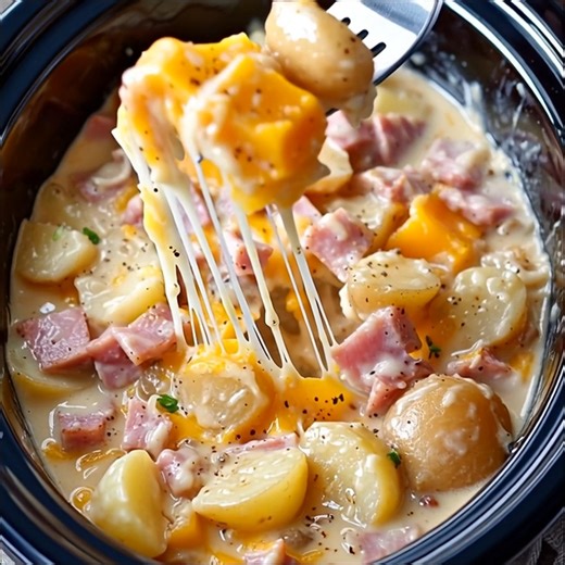 Slow Cooker Cheesy Ham & Potato Casserole Creamy, hearty, and comforting—perfectly tender potatoes with chunks of ham in a rich cheese sauce. Yield: 6 servings | Temp: Low (slow cooker) | Time: 5 hours Key Ingredients First: 6 medium potatoes, peeled and sliced 2 cups diced cooked turkey..... 2 cups shredded cheddar cheese ....................... FULLL Recipe in First Cօʍʍеոτ 👇 | Cooking With Vibes