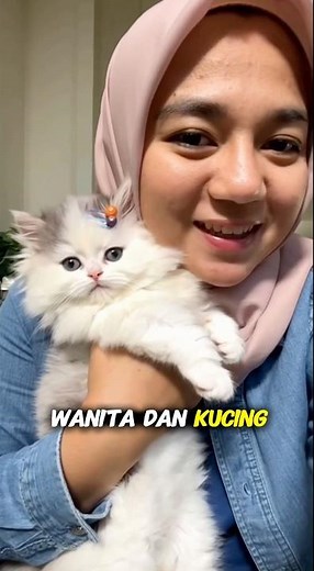 Lost cute cat #shortsvideo #cutecat #cutecat #cat #catvideos