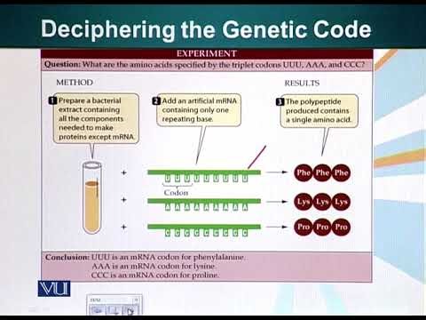 Genetic Code | Cell Biology | BIO5105_Topic119