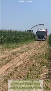 Massive Forage Harvester Fills Heavy Trucks in Minutes!