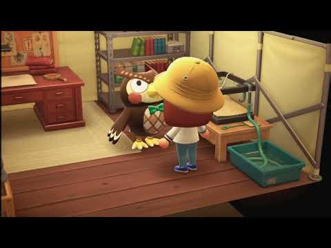 🦉 Museum Prep & Our First Fossil! | Sturdy Tools Unlock on Bakery Island 🪓