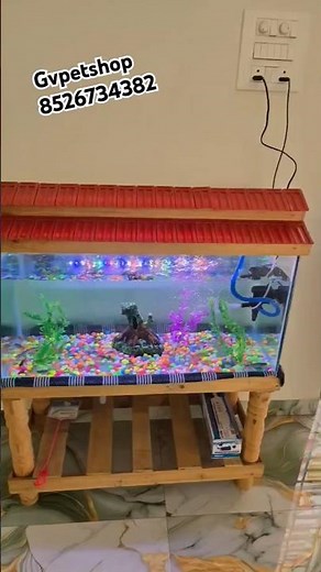 3feet New fish tank set up with top filter method full set #gvpetshop