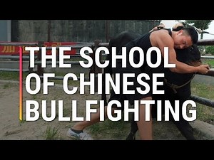 Inside a Bullfighting School in China