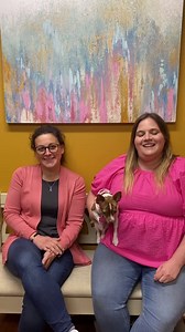 661K views · 321 reactions | Have you heard about Hollywood Feed?  We're a family owned pet supply company with stores in neighborhoods across 14 states. We believe in American made products and offer high quality goods to pets across the country. That's why our biggest store is our website! Shop online anytime and get FREE SHIPPING on orders over $49! And remember our promise, "If your pet doesn't love it or you don't love it, we'll gladly replace or refund it." | Hollywood Feed | Facebook