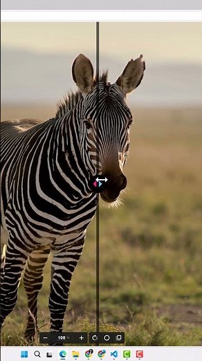 Cómo optimizar imágenes para web sin perder calidad (rápido y eficaz)