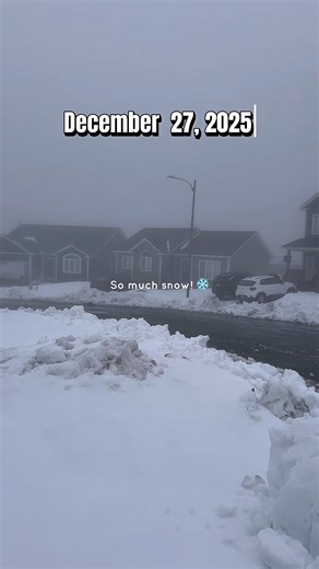 Snowstorm Aftermath😩 #aftermath #shoveling | Emily Q. Maeza