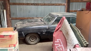 248K views · 2.2K reactions | Amazing Barn Find 1970 LS6 Chevelle Just Discovered Hiding Since 1979. | Voitures abandonnée dans le monde | Facebook