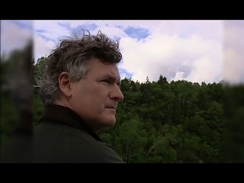John McDermott - Song for The Mira