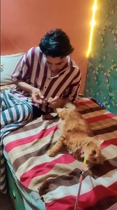 Kya Kar Rahe Ho Tum | #catlover #cutecat #funnycats