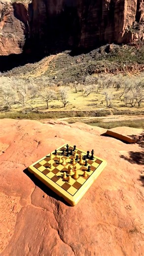 White to move. Nigel Short vs. Jan Timman (1991). #foryoupage #chess #virals, #foryou, #trends, #nature #fyps, #trend, #fyp, #chesspuzzle | Rachangel