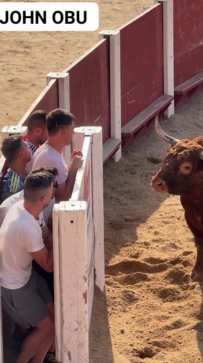 Why some people like to play with dear life like this see what we happened here.#fblifestyle #reelsviralシ #Global | John Obu