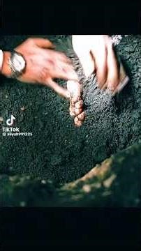 Is it too late? Maria is found, buried.. #movie #lawandorder