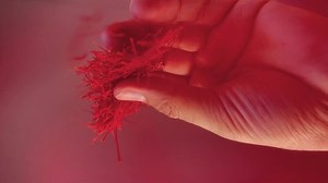 Saffron Threads Falling Lower View Stock Footage Video (100% Royalty-free) 1087848821 | Shutterstock