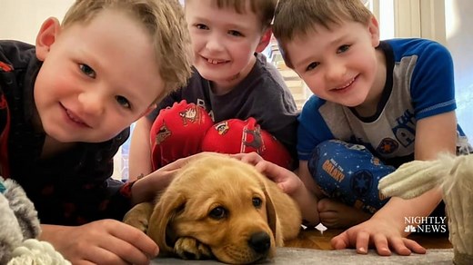 Pets spread joy during unprecedented times