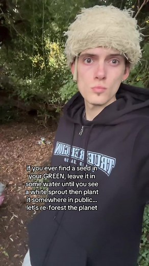How to Grow Special Seeds for Tree Planting