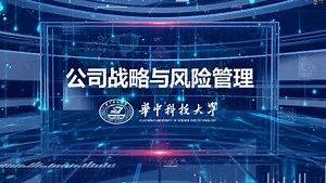 公司战略与风险管理