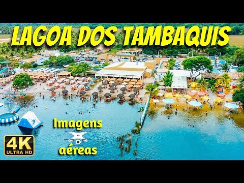 A DRONE IN THE TAMBAQUIS LAGOA - SERGIPE - BRAZIL | An amazing experience [price]