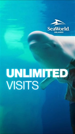 An Annual Pass is your ticket to close up animal encounters and amazing airtime on world-class coasters anytime you want. Visit again and again for all the "awe" and "awesome" at SeaWorld. | SeaWorld Orlando
