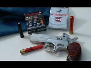 .410 Winchester PDX1 Gel and Meat Test