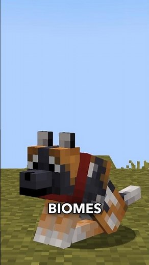 8 WOLF VARIANTS Added to Minecraft 1.21!