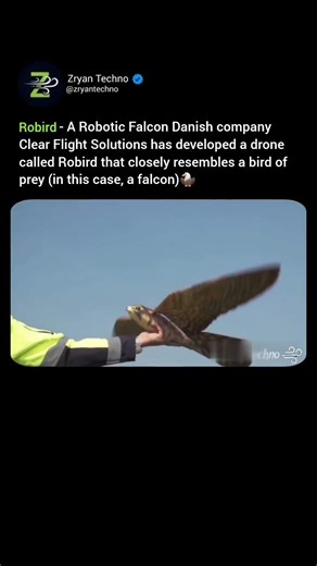 Meet the Robot Falcon 🦅 That Flies Like a Bird 🦅… and Looks Shockingly Real 😳🦅
