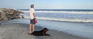 A 2-Day Guide to Wilmington with Man’s Best Friend