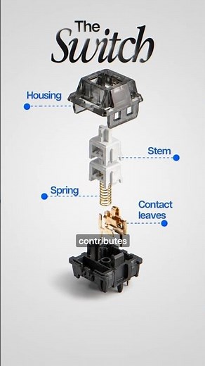 What is inside the switch of mechanical keyboard #vrkaa #mechanicalkeyboards