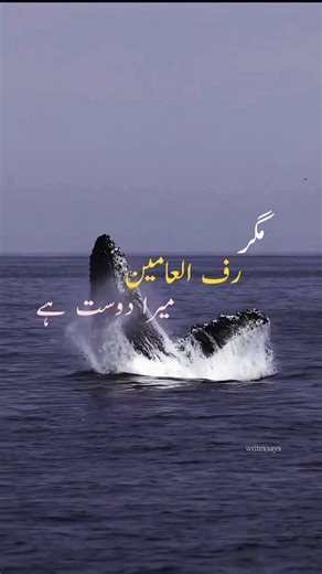 Samir khan on Instagram‎: "Narrated Abu Huraira: The Prophet (ﷺ ) said, "Allah says: "I am just as My slave thinks I am, (i.e. I am able to do for him what he thinks I can do for him) and I am with him if He remembers Me. If he remembers Me in himself, I too, remember him in Myself; and if he remembers Me in a group of people, I remember him in a group that is better than they; and if he comes one span nearer to Me, I go one cubit nearer to him; and if he comes one cubit nearer to Me, I go a dis