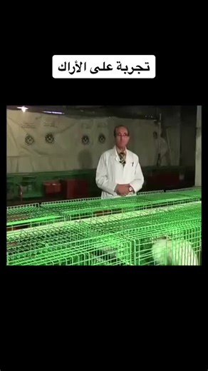 Understanding Animal Housing: Insights from Lab Conditions