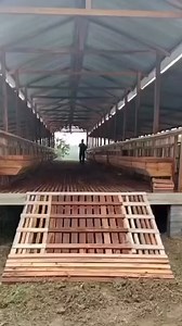 Check out this beautiful and neat goat pen—well-ventilated, easy to clean, and built for healthy, stress-free animals. Good housing means better farming! #GoatFarming #LivestockHousing #CleanFarm #MiaKiaFarms #SmartLivestock | Felix Abe