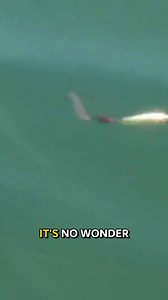 Lake Erie walleye fishing tips: Deep water jet diver secrets & goby lure tricks!