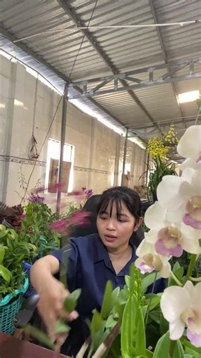 Check Out the Flower Bloom Hotline: 090.317.7978 ☎️☎️
