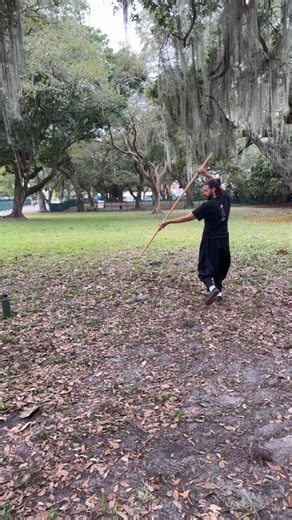 Private Class - Chen Pan Ling - Ba Gua - Staff - GM Chen Yun Ching - Master Xiaoyi Chen | Addis Kung Fu Academy