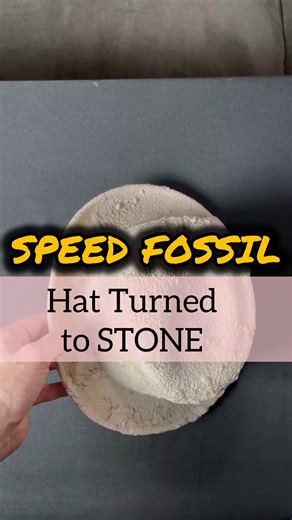 The missunderstanding i modern geology and or the assumption is rock and fossils take a long time to form. So time is the leading factor. When in fact its the condition that predicate the formation of sedimentary rock or a fossil. From the Global Flood perspective, both these would be quick fast as demonstrated in this video. #geology #creationism #evolution | Lost World Museum