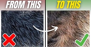 How to Paint Realistic-Looking Fur