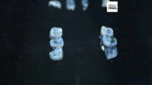 Découverte d’une nouvelle espèce d'homme primitif en Éthiopie