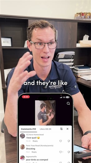 I bet you didn't know THIS about quail birds 🐦