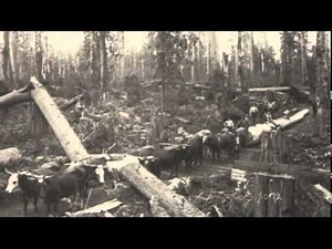 Mount Vernon, Washington History