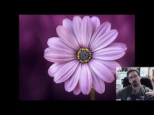 What is Radial Balance? Principles of Design Art Lesson - Free online art lessons