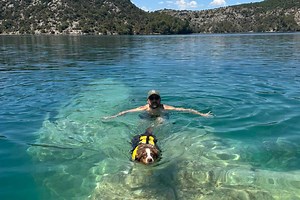 Comment (bien) rafraichir son chien en période de fortes chaleurs ou de canicule ?