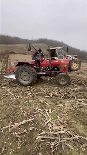 Oranje IMT 567 I 577