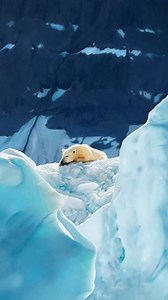 16 reactions · 3 comments | David Shepherd Wildlife Foundation -...