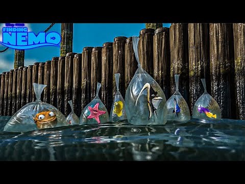 Рыбки из аквариума наконец то попали в океан | В поисках Немо
