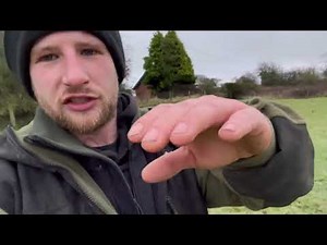 Whistle training a border collie sheepdog
