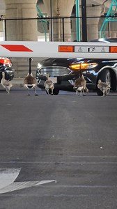 What a traffic jam looks like in Boston... | Only In Boston