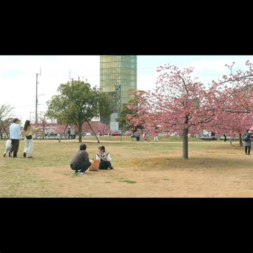 FUJIFILM X-H1 Spring Colors