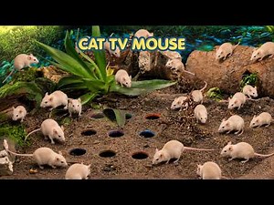 Cat TV 🐾 Mice Hide and Seek | Mice in The Jerry Mouse Hole 🐭 8 HOURS 🐭 Videos for Cats